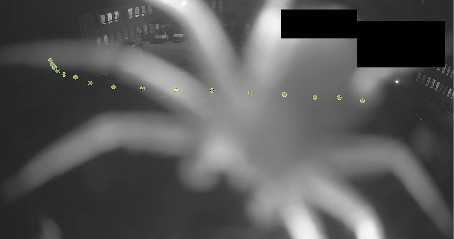 If cameras have a blocked view, no detection is possible